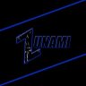 theZunami