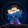 TeddyPlayZz