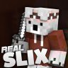 ITzSlixZ
