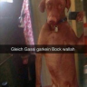 qbi