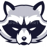 Waschbear_HD8