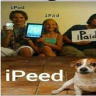 GadzemitGladze