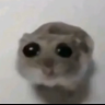 DerJP_YT