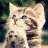 Katze_L