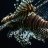 ConDragon
