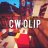 LabyCW