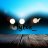 Mytox_