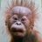 LucaTVMonkey