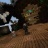 RICHILP05