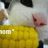 NoobmitCape