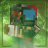Servip_YT