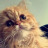 Kxtja