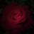 BlumeHD