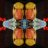 1ngoOhneFlamingo