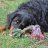 NV-09657748-ccc4-4605-8d30-f910648a2b55