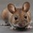 Maus39
