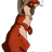 amkWeasel