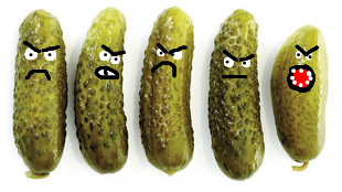 t6f9066_5268df_boese_guerkchen.png