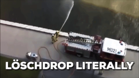giphy.gif
