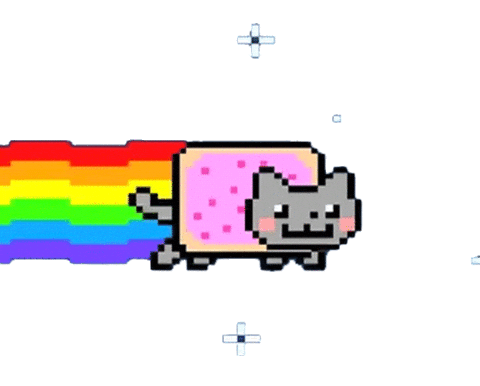 giphy.gif