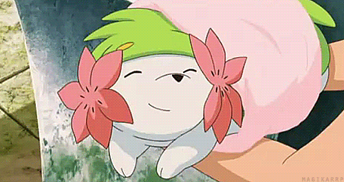 tumblr_mkwk2p29fs1ruztjzo1_500.gif