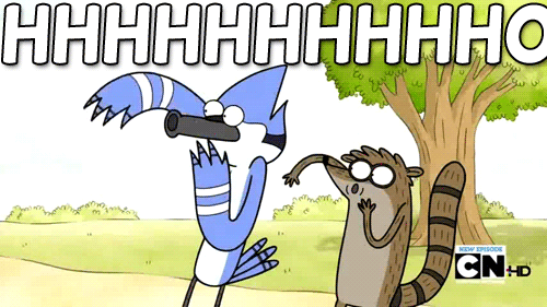 tumblr_mqo0d8hUpU1sv9jigo1_500.gif