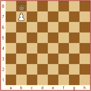 promoteyourpawn.gif