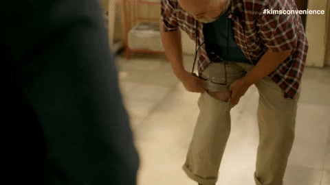 giphy.gif