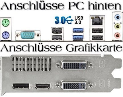 51HEsgPXoSL.jpg