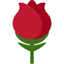 1f339.png