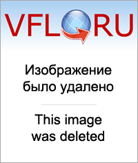 16334263.png