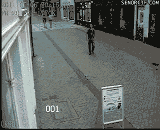 giphy.gif