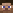 13.png