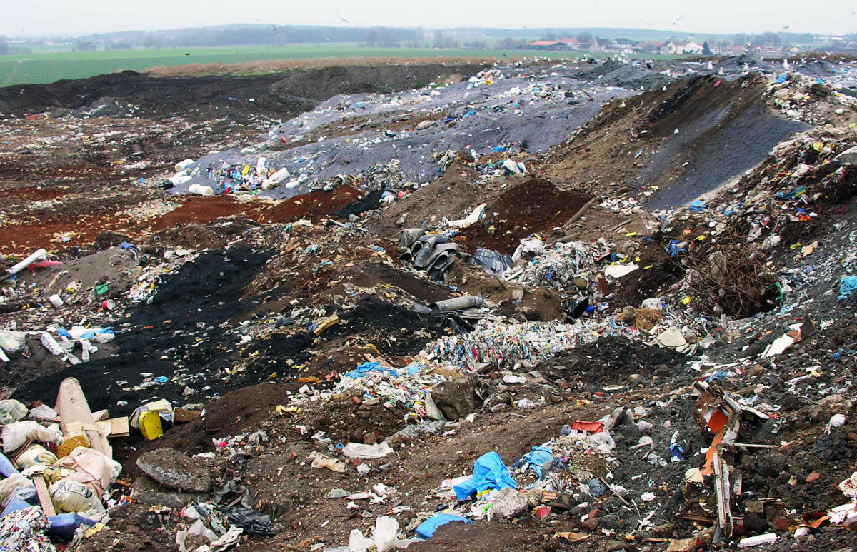 Deponie_Sproeda_Muell-Buergerverein_Sauberes_Delitzscher_Land.jpg