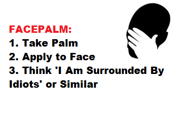 how_to_facepalm_by_millylove1098-d72nuua.png