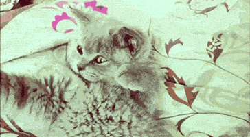 200.gif