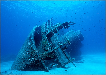 wrack-in-pomonte1.jpg