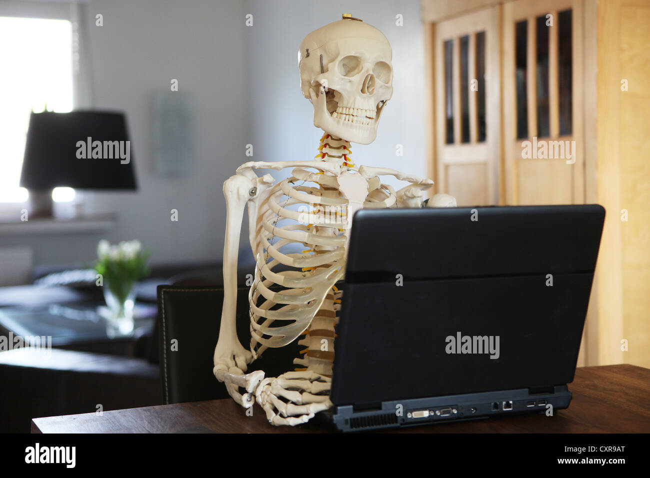 skelett-mit-einem-computer-cxr9at.jpg